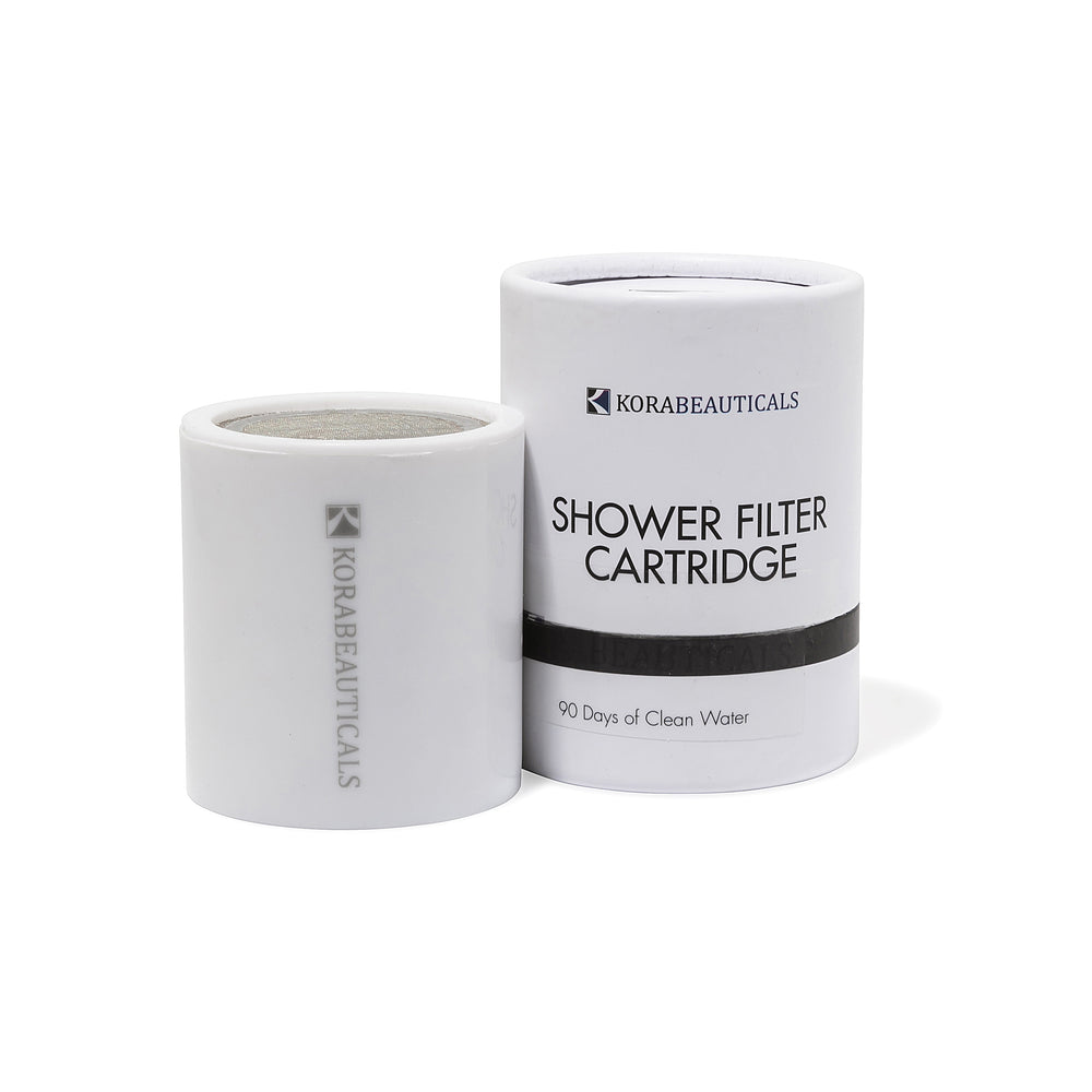 Shower Head Filter Replacement