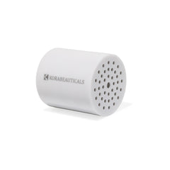 Shower Head Filter Replacement